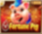 Best-Jili-Slot- Game- Fortune Pig-FC178- Online Casino